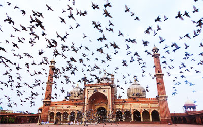 jama masjid india's largest mosque in old delhi,spice market in delhi